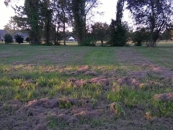 2005 Ormond Blvd, Destrehan, LA 70047