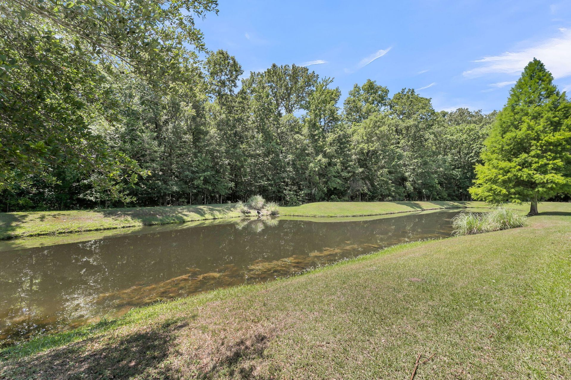 116 Old Jackson Road Photo 64