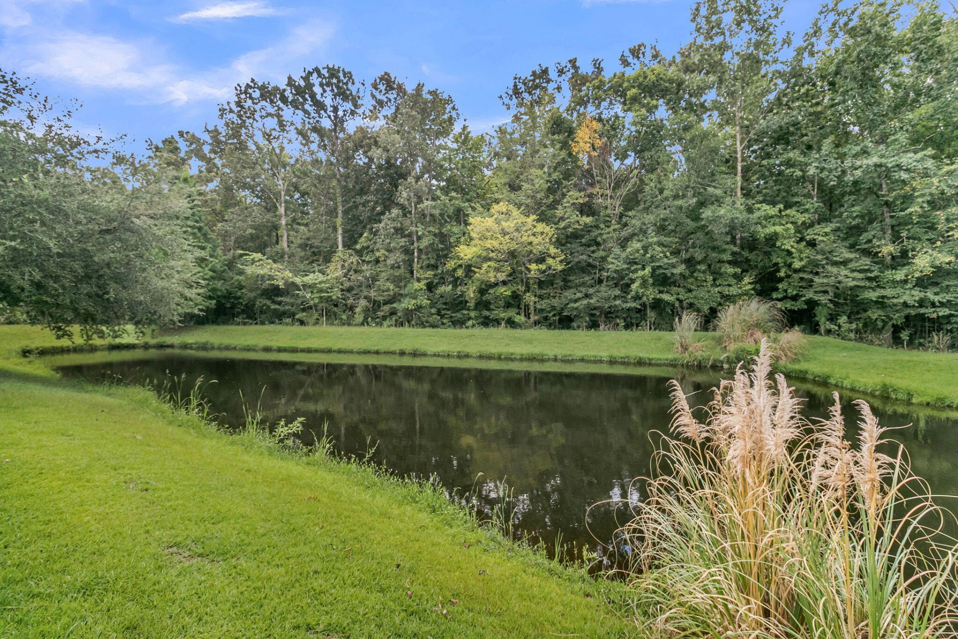 116 Old Jackson Road Photo 72