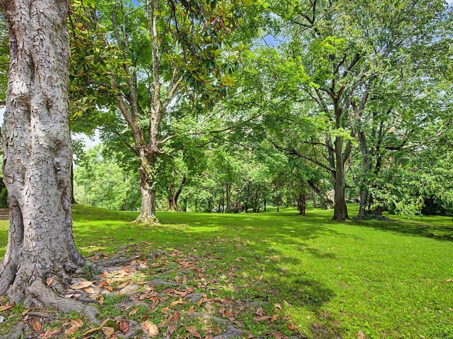 Property Image 57