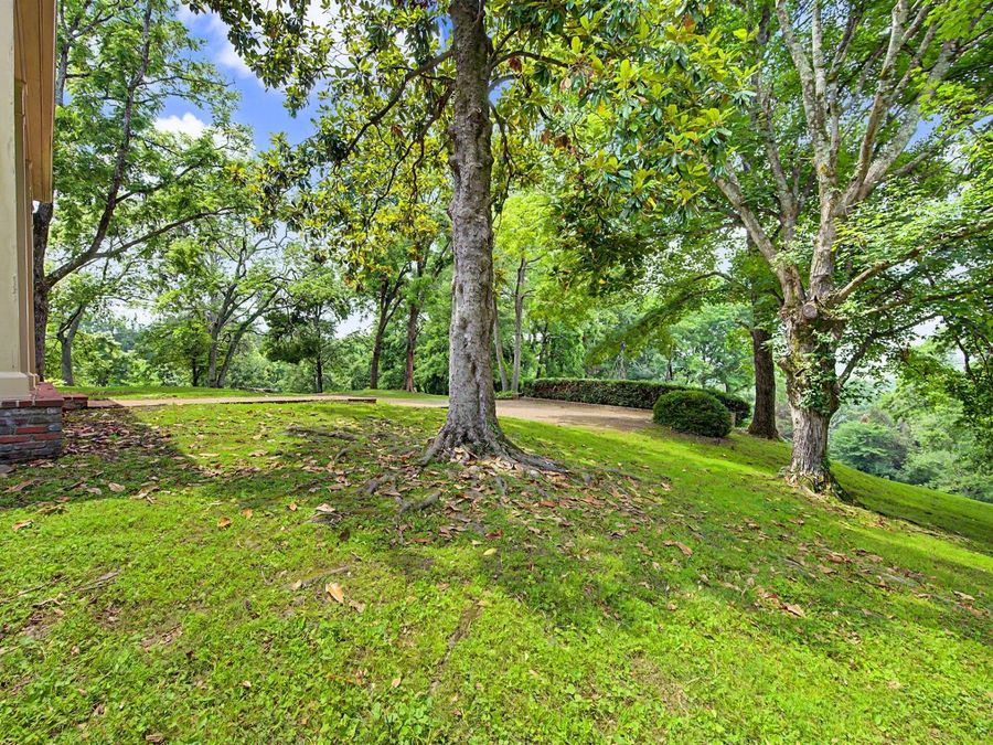Property Image 65