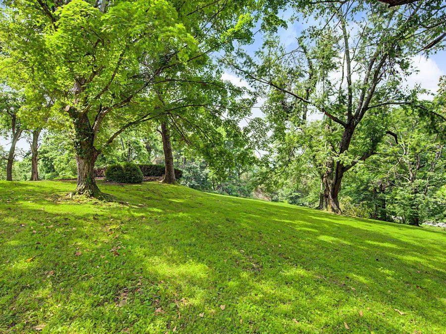 Property Image 66