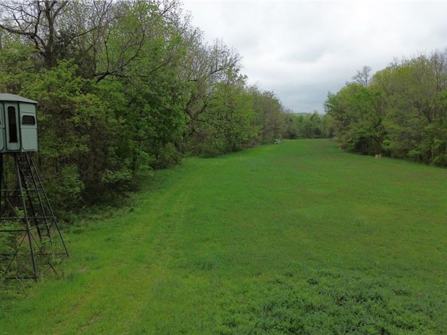Property Image 14
