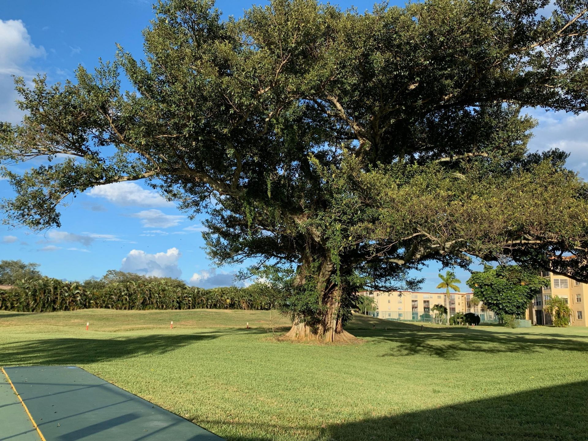 9355 SW 8th Street, Unit 202, Boca Raton, FL 33428 Photo
