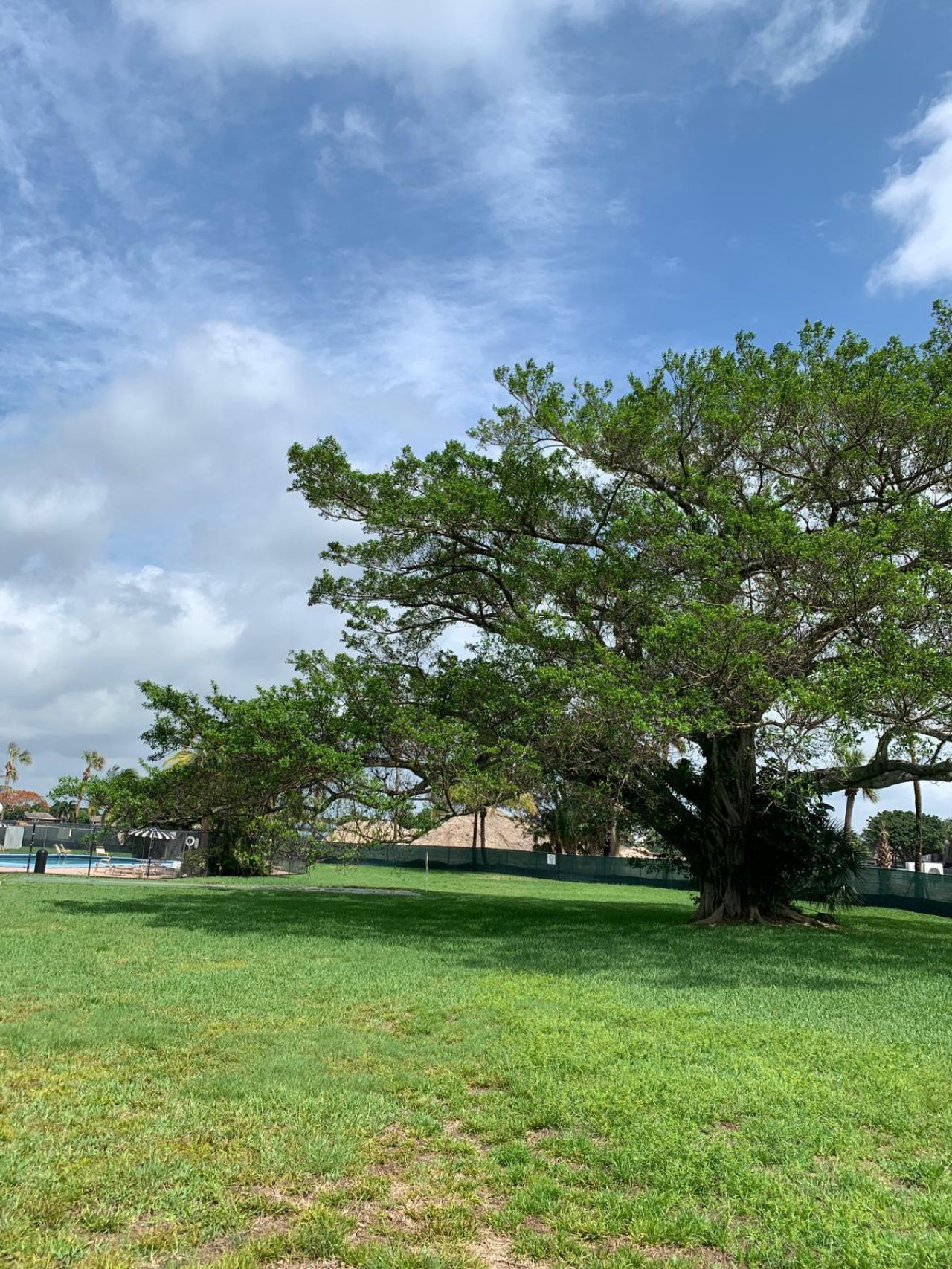 9355 SW 8th Street, Unit 202, Boca Raton, FL 33428 Photo