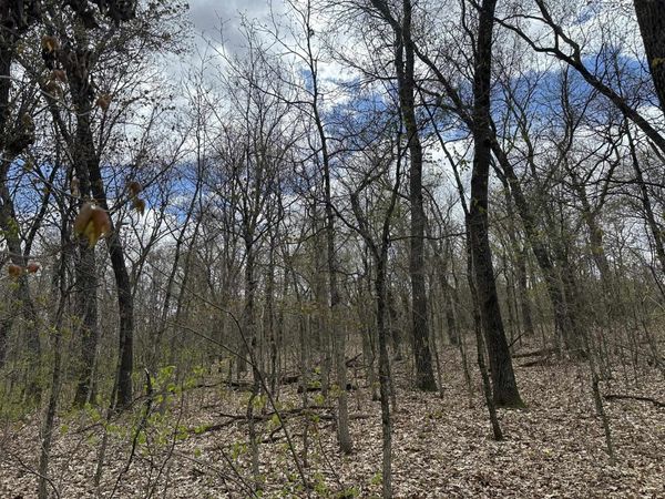 8.81 ac Raedel Lane, Wisconsin Dells, WI 53965
