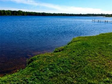 32993 W Birch Shores Drive, Trout Lake Township, Mi 49793