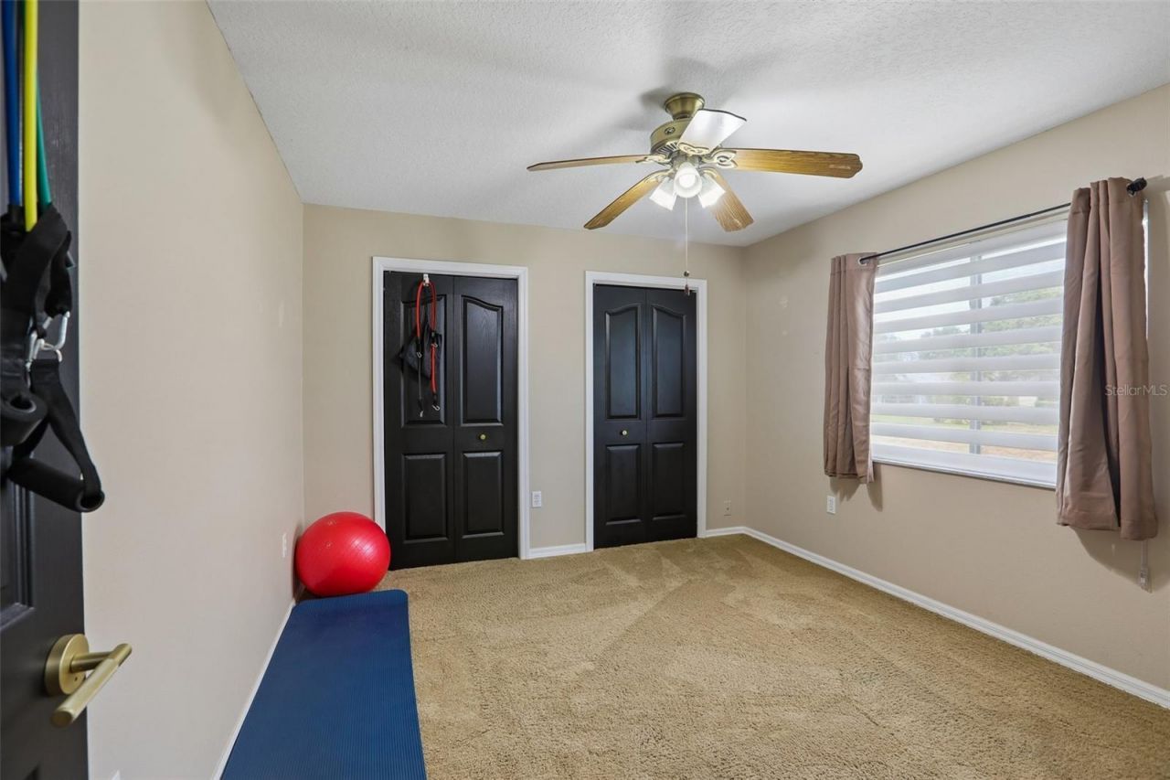 3542 Conifer Loop, Spring Hill, FL 34609 Photo