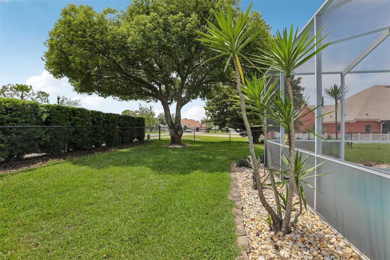 3542 Conifer Loop, Spring Hill, FL 34609 Photo