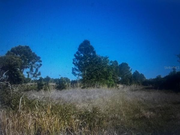 733 N TARRY LANE , LORIDA, FL 33857