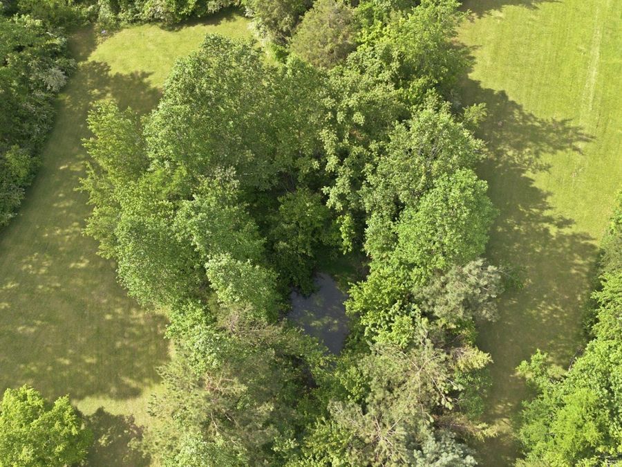 Property Image 75