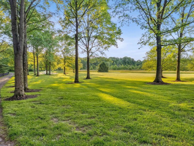 14121 Perfect Road, Sunbury, OH 43074 Photo 11