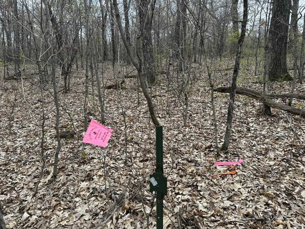 8.77 ac Raedel Lane, Wisconsin Dells, WI 53965