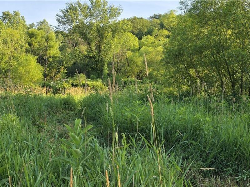 6820 Crane Run Road, Cumberland, OH 43732 Photo 10