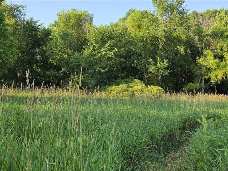 6820 Crane Run Road, Cumberland, OH 43732 Photo 11