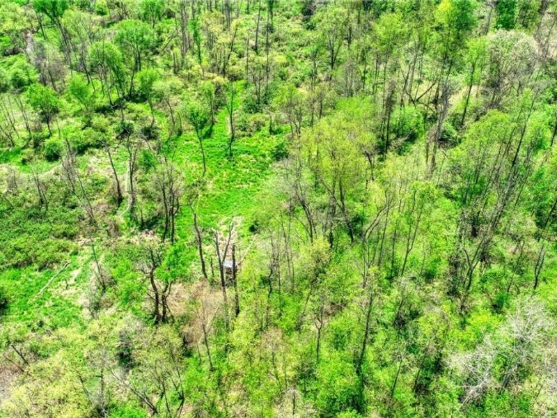 6820 Crane Run Road, Cumberland, OH 43732 Photo 11