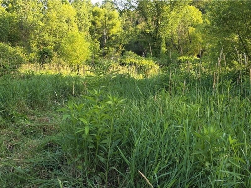 6820 Crane Run Road, Cumberland, OH 43732 Photo 18