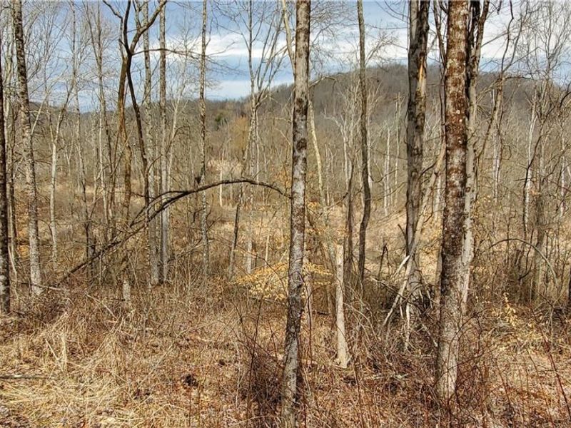 6820 Crane Run Road, Cumberland, OH 43732 Photo 24