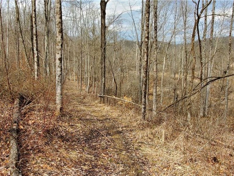 6820 Crane Run Road, Cumberland, OH 43732 Photo 25