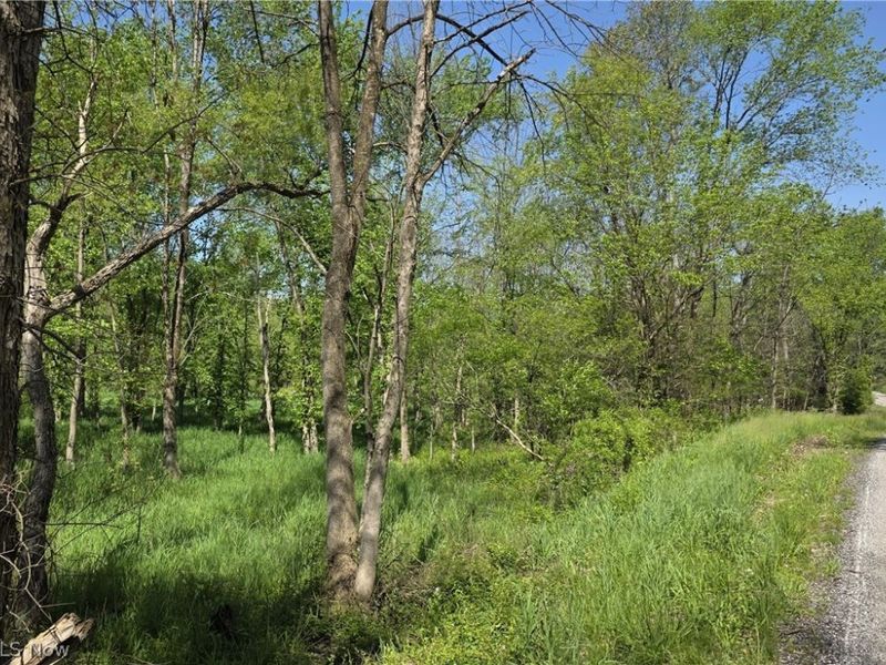 6820 Crane Run Road, Cumberland, OH 43732 Photo 3