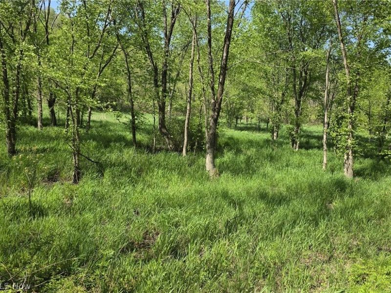 6820 Crane Run Road, Cumberland, OH 43732 Photo 4