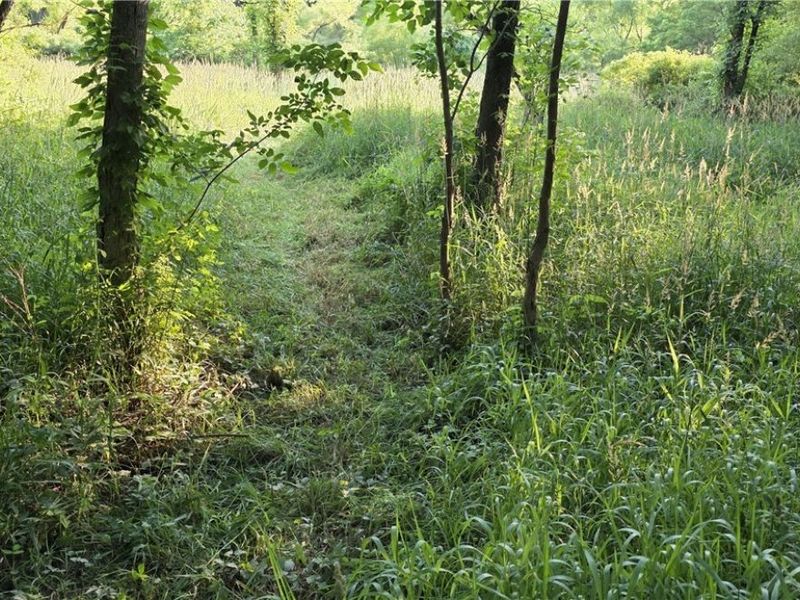 6820 Crane Run Road, Cumberland, OH 43732 Photo 7