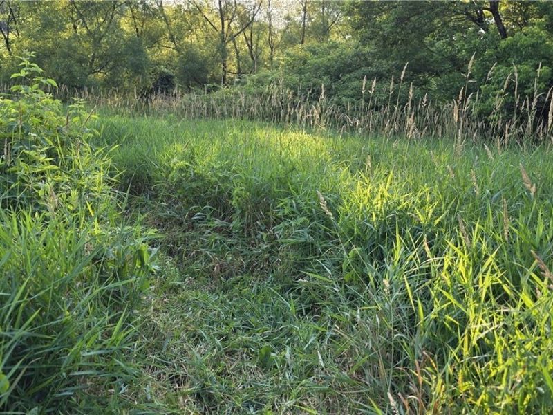 6820 Crane Run Road, Cumberland, OH 43732 Photo 8