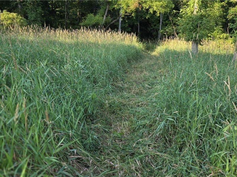 6820 Crane Run Road, Cumberland, OH 43732 Photo 9