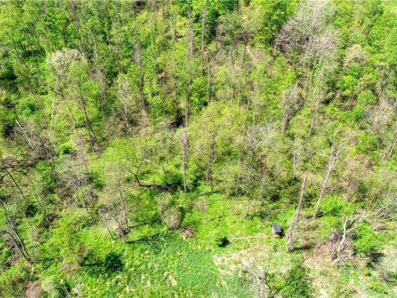 6820 Crane Run Road, Cumberland, OH 43732 Photo 9