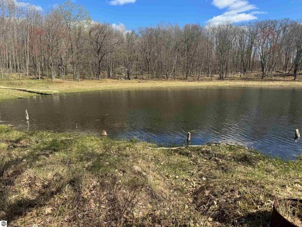 10311 Alpine Drive, Reed City, MI 49677
