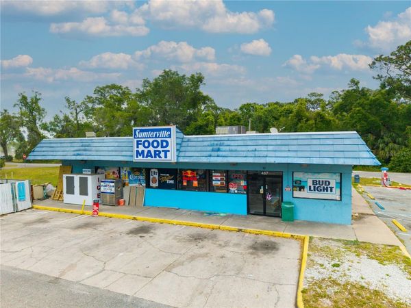 487 S US 301 , SUMTERVILLE, FL 33585