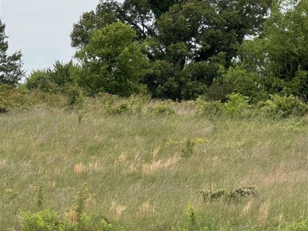 Lot 25 Laurel Way , Cave City, KY 42127