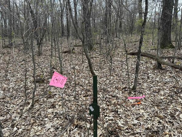 8.77 ac Raedel Lane, Wisconsin Dells, WI 53965