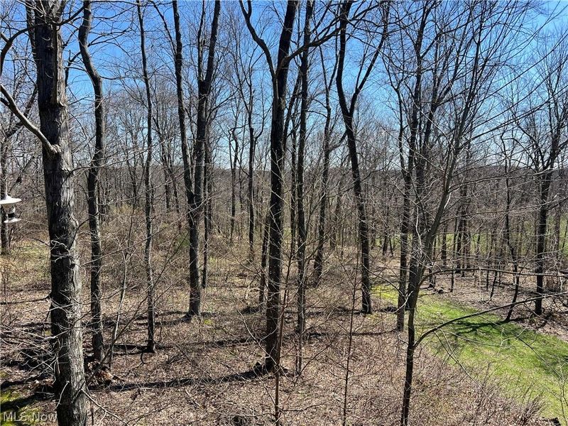 5180 Fresno Road, Dellroy, OH 44620 Photo 2