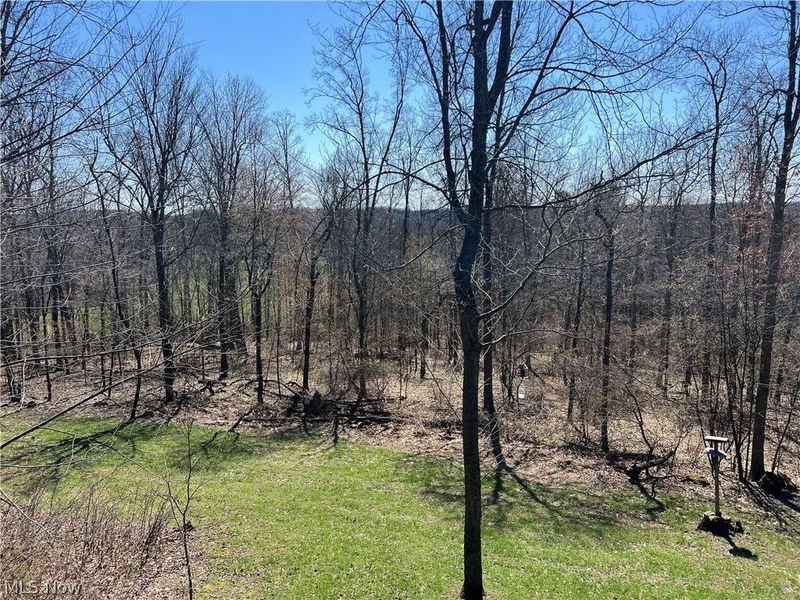 5180 Fresno Road, Dellroy, OH 44620 Photo 6