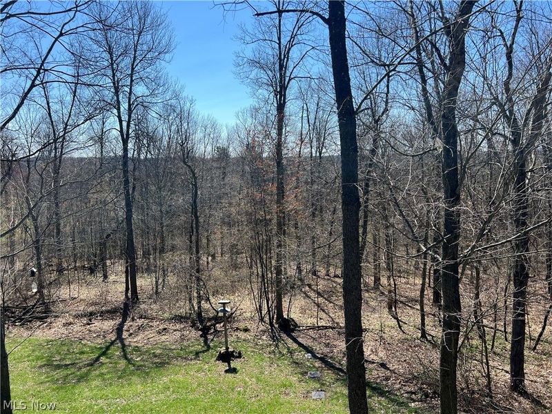 5180 Fresno Road, Dellroy, OH 44620 Photo 8