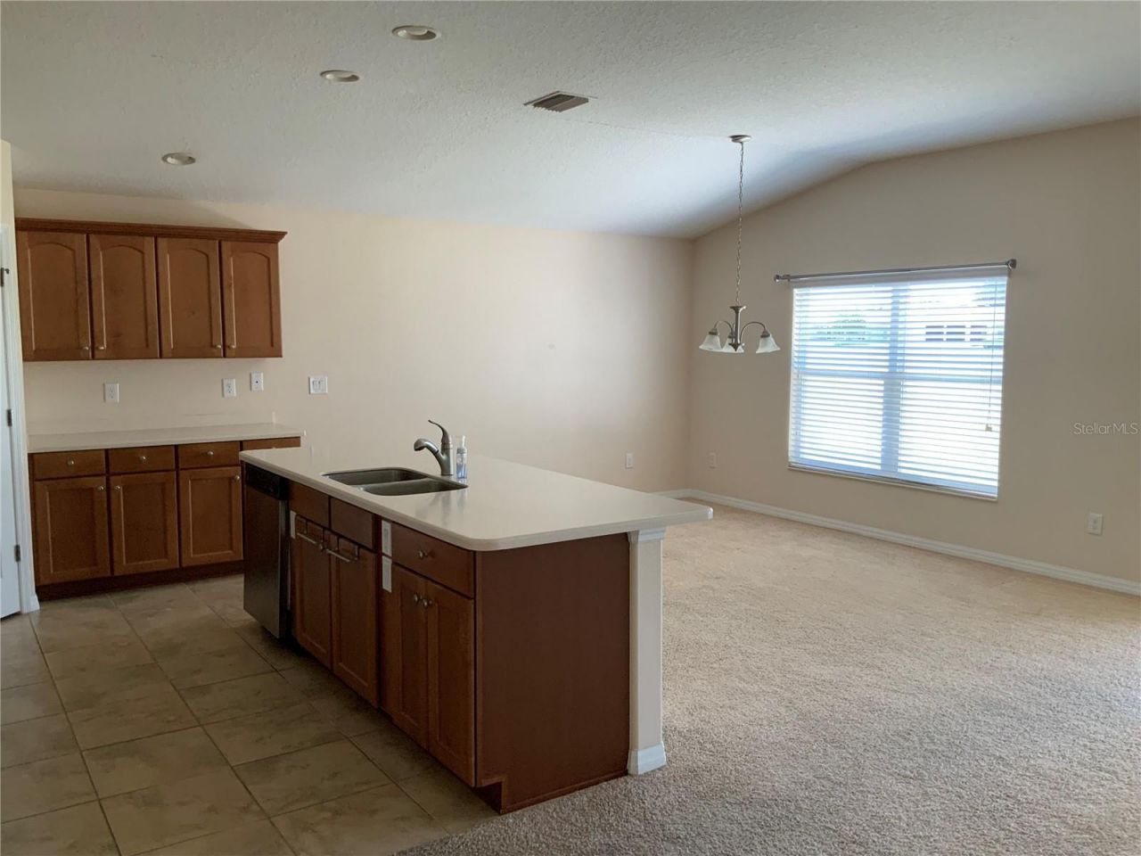 27215 Roanoke Drive, Leesburg, FL 34748 Photo
