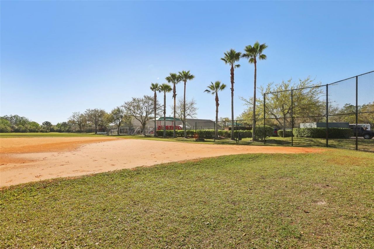 13805 Tea Rose Drive, Orlando, FL 32828 Photo