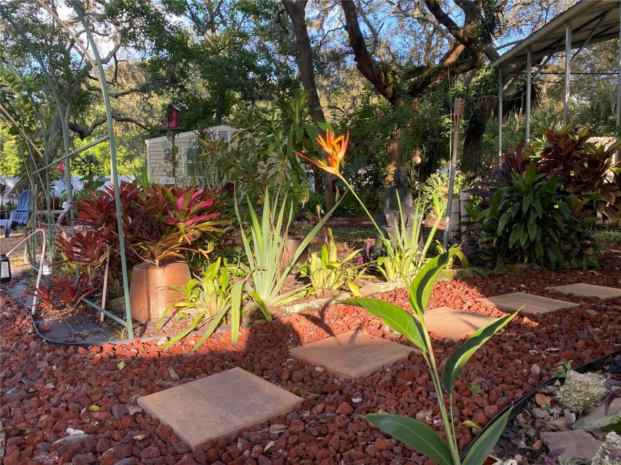 9846 Cardy Street, New Port Richey, FL 34654 Photo