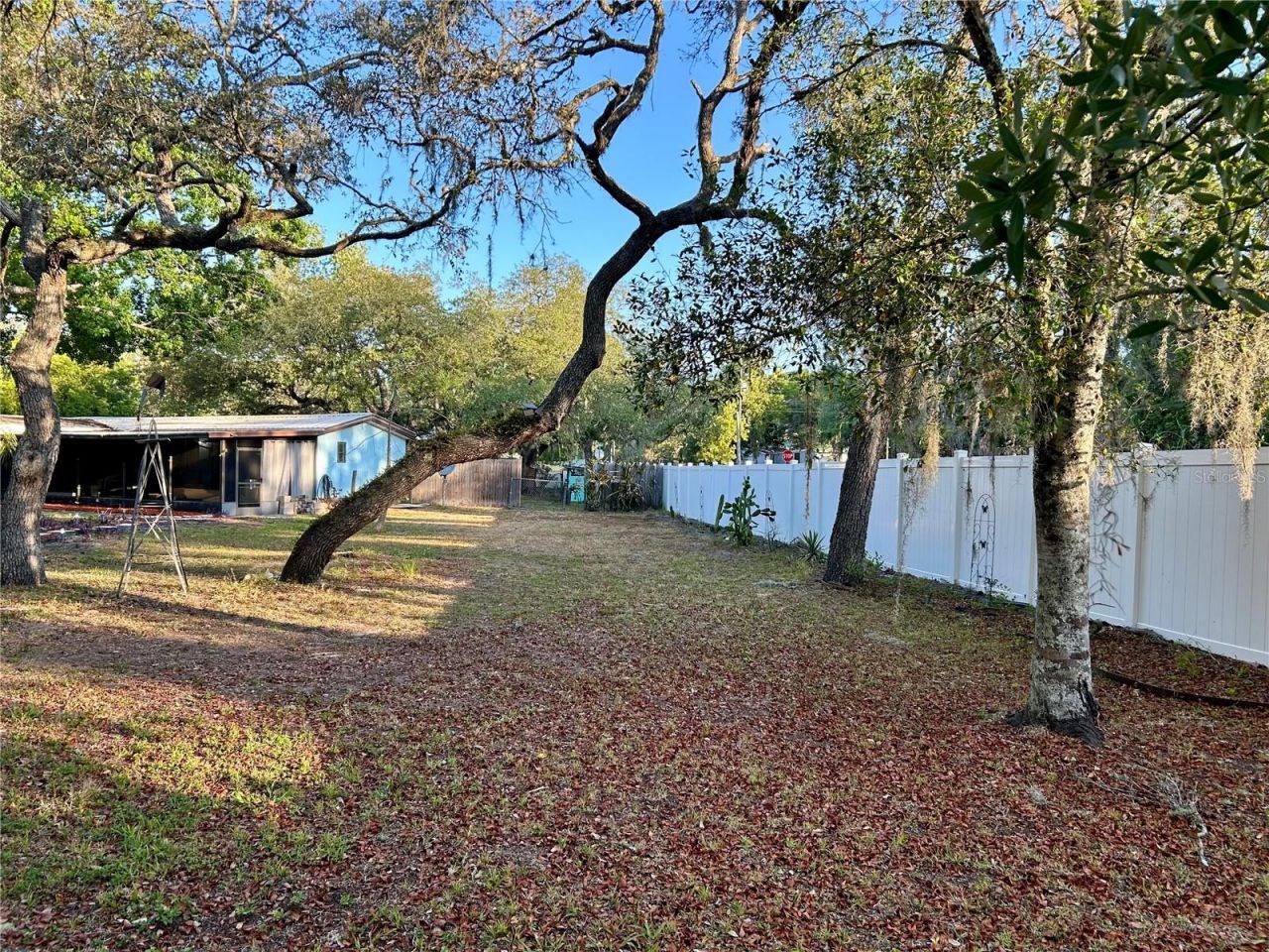 9846 Cardy Street, New Port Richey, FL 34654 Photo