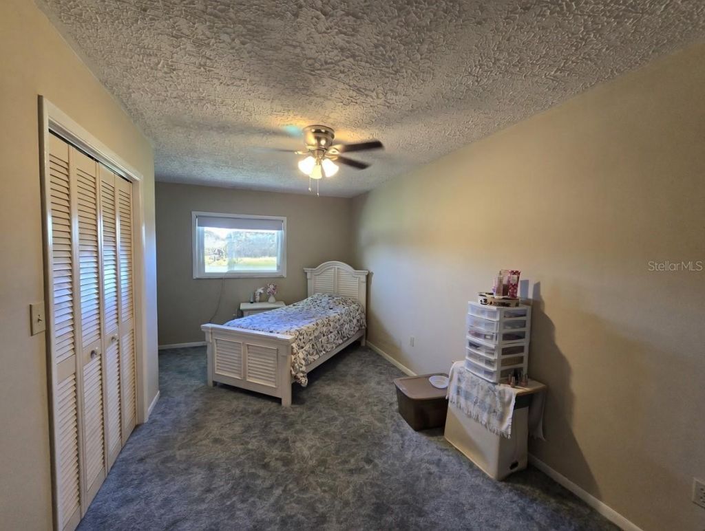 12882 E Wheeler , Brandon, FL 33511 Photo