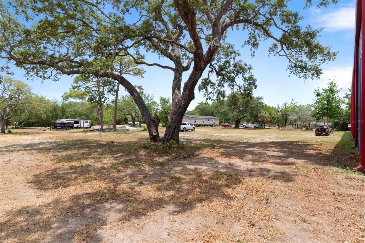 12414 Choctaw Trail , Hudson, FL 34669 Photo