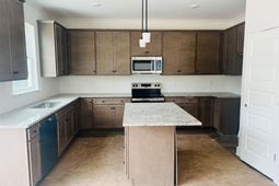 513 Frosty Lane photo 4