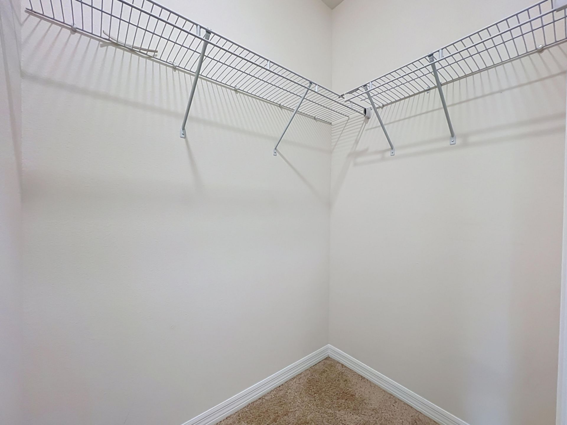20029 Royal Tern Court, Leesburg, FL 34748 Photo