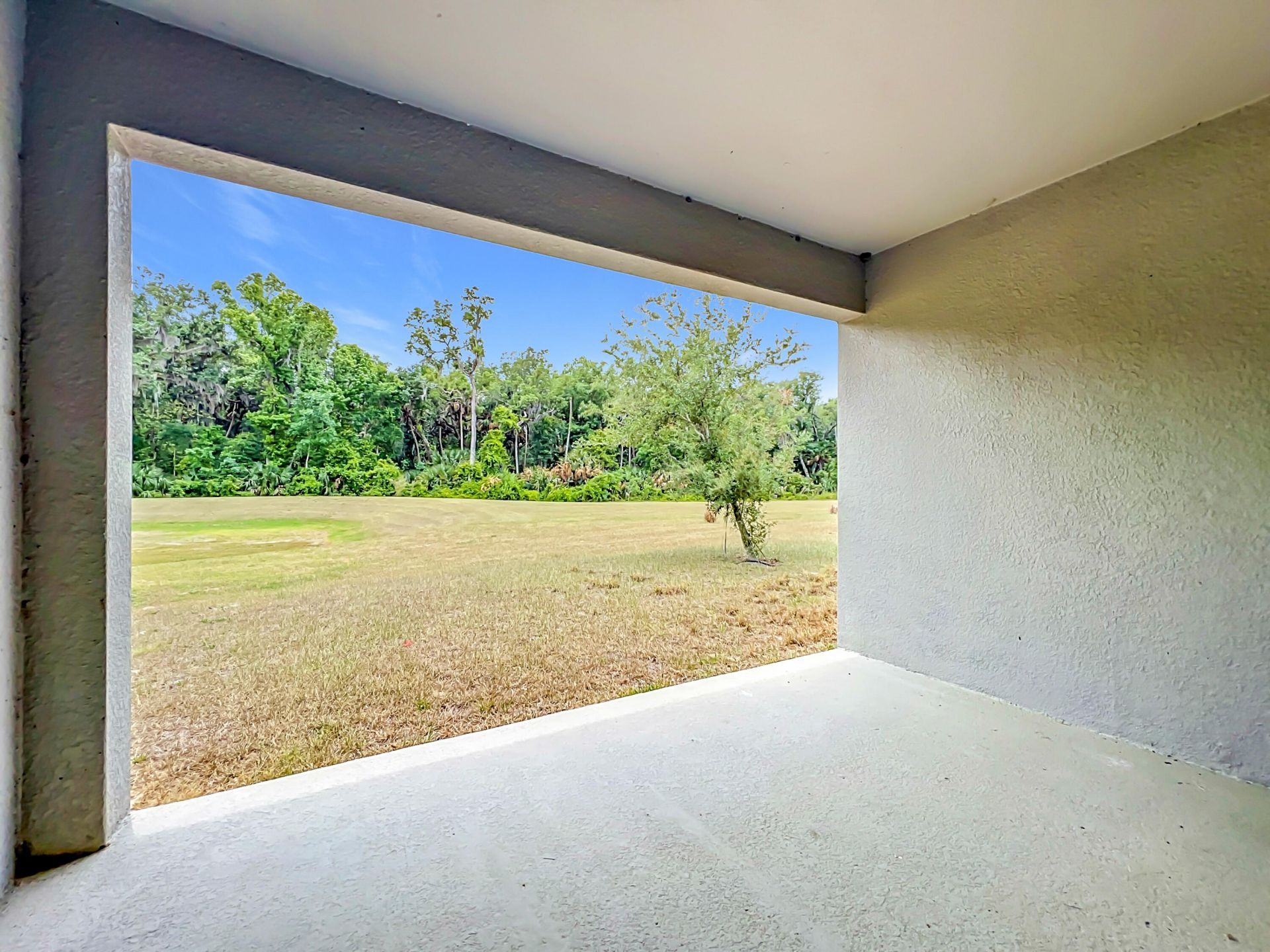 20029 Royal Tern Court, Leesburg, FL 34748 Photo