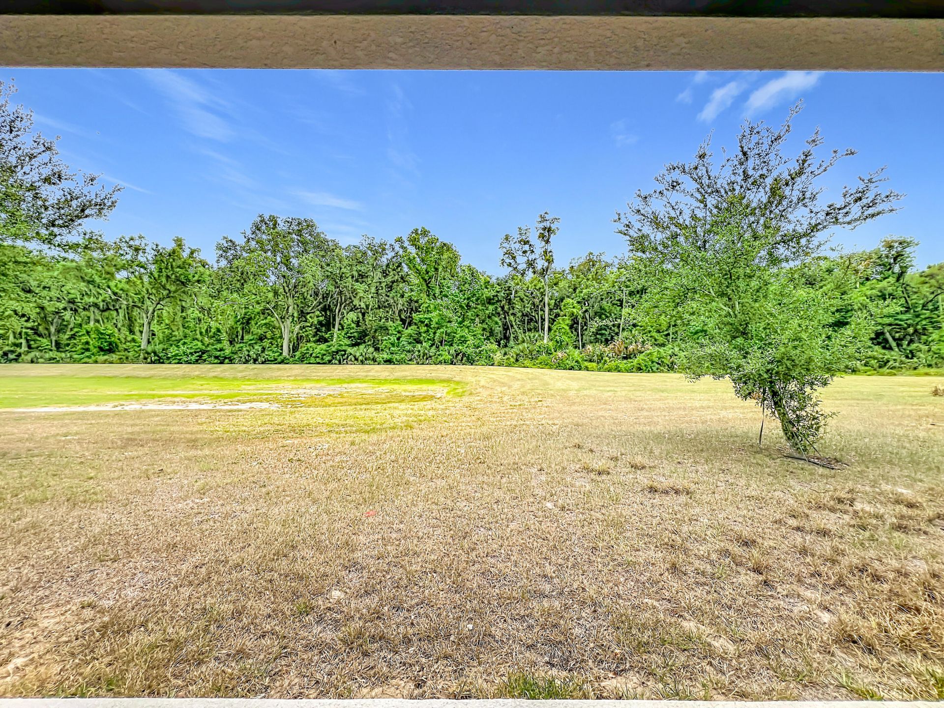 20029 Royal Tern Court, Leesburg, FL 34748 Photo