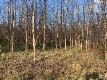 N. Gravel , Medina, NY 14103