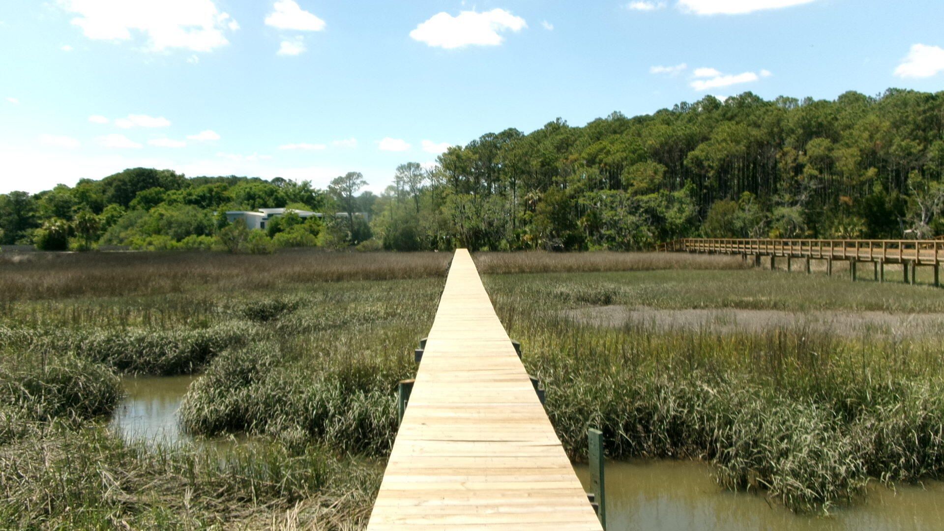1108 Saint Thomas Island Drive Photo 14