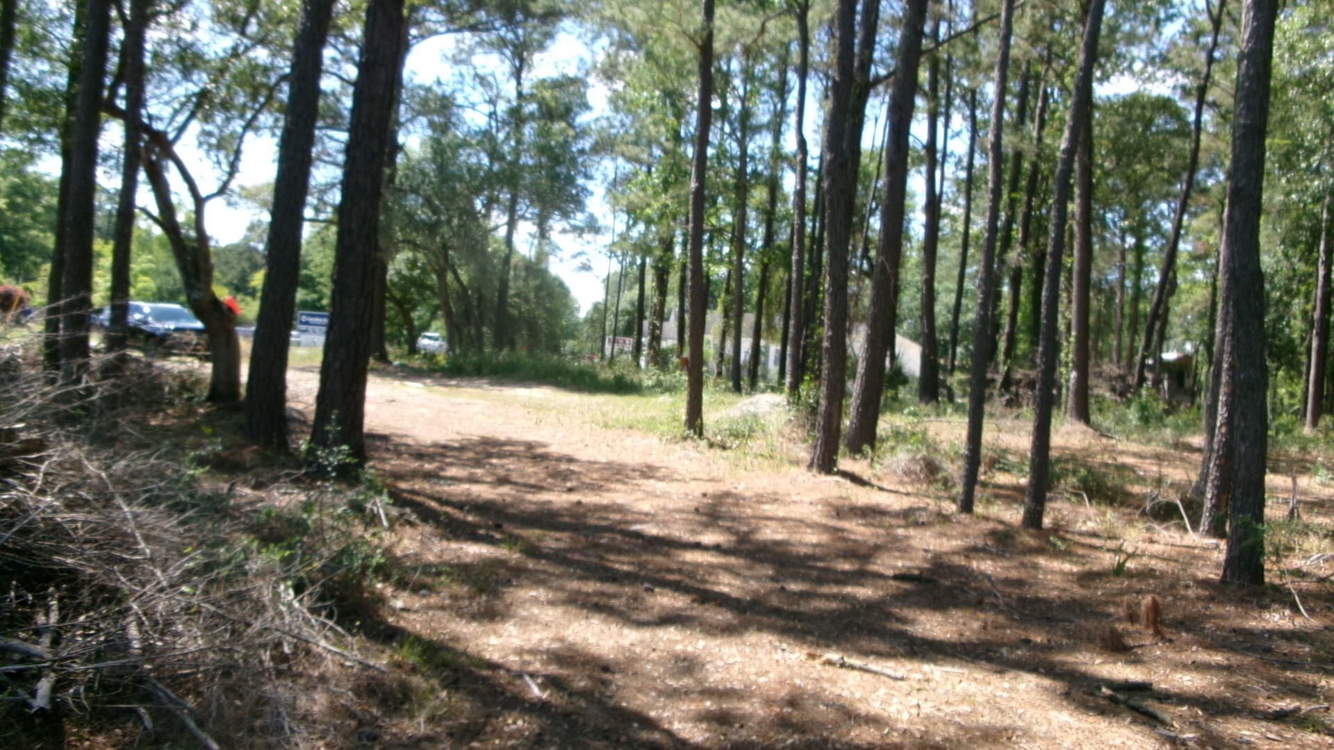 1108 Saint Thomas Island Drive Photo 18