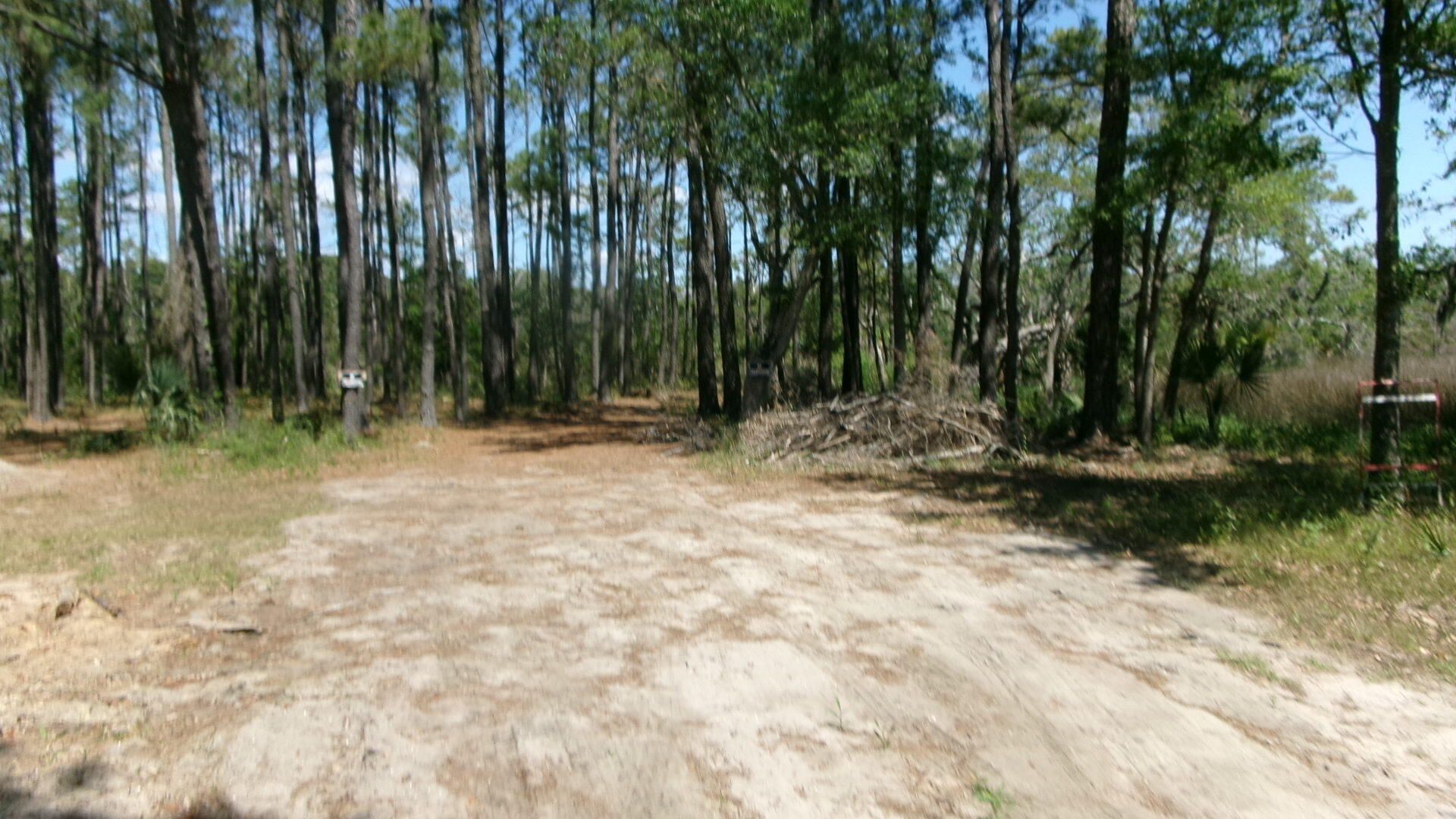1108 Saint Thomas Island Drive Photo 4